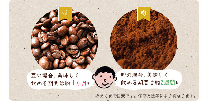 豆の場合1ヶ月、粉の場合2週間イメージ