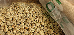 コーヒー豆知識イメージ